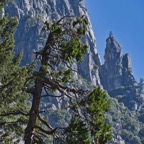 2308_USA_0397_Yosemite.jpeg