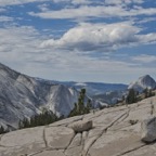 2308_USA_0657_Yosemite.jpeg