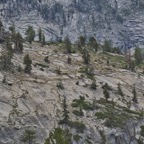 2308_USA_0679_Yosemite.jpeg